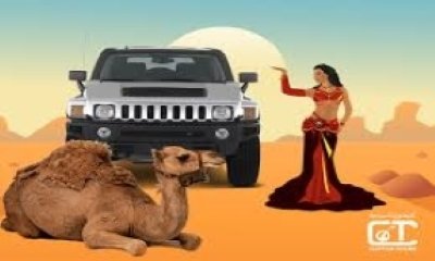 can arabian desert safari experience